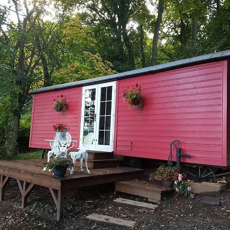 Borthwickbrae Shepherd'S Hut هاويك المظهر الخارجي الصورة