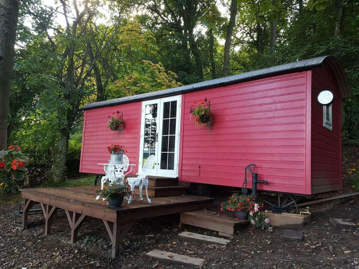 Borthwickbrae Shepherd'S Hut هاويك المظهر الخارجي الصورة