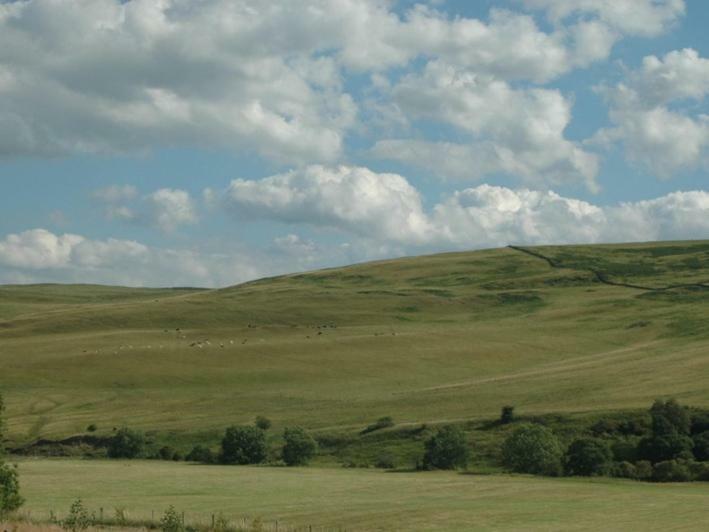 Borthwickbrae Shepherd'S Hut هاويك المظهر الخارجي الصورة